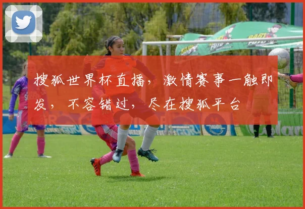 搜狐世界杯直播，激情赛事一触即发，不容错过，尽在搜狐平台
