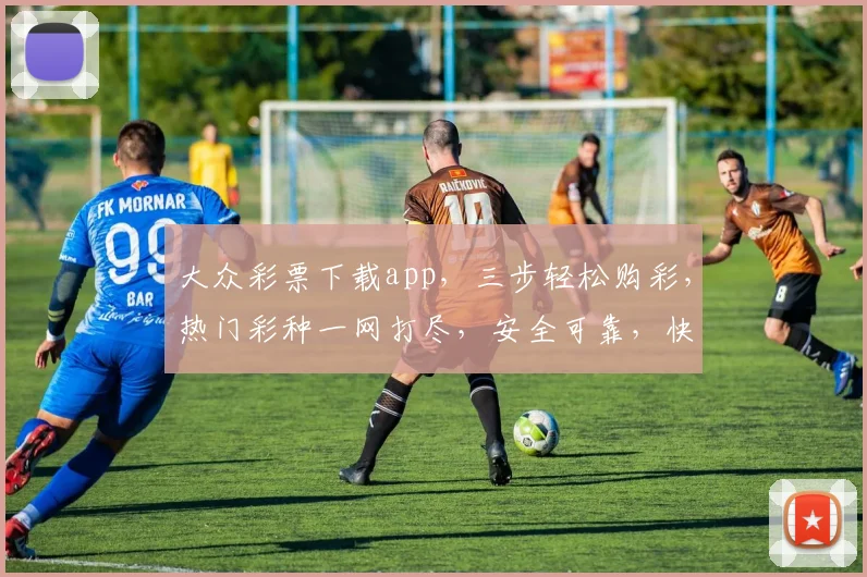 大众彩票下载app，三步轻松购彩，热门彩种一网打尽，安全可靠，快人一步