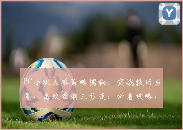 PC小双大单策略揭秘，实战技巧分享，高效盈利三步走，必看攻略，不容错过