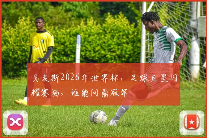 戈麦斯2026年世界杯，足球巨星闪耀赛场，谁能问鼎冠军